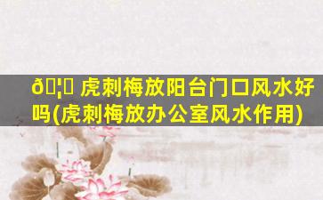 🦊 虎刺梅放阳台门口风水好吗(虎刺梅放办公室风水作用)